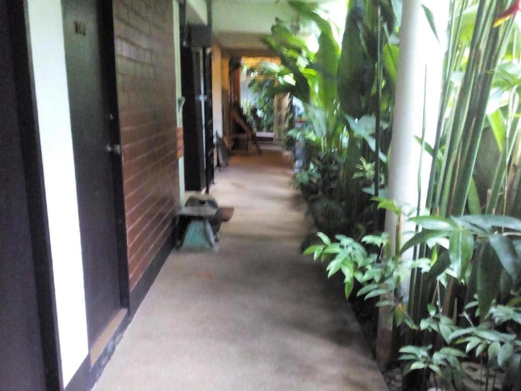 Baan Pim Otel Chiang Mai Dış mekan fotoğraf